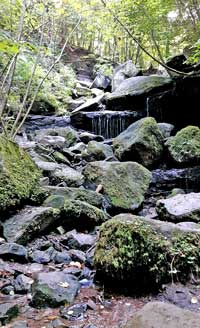 Heslacher Wasserfall in Stuttgart